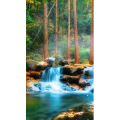 高清风景868