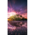 高清风景871