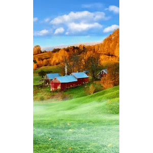高清风景874