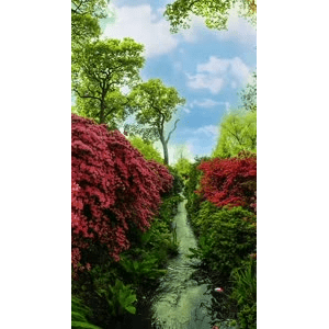 高清风景877