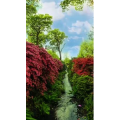 高清风景877