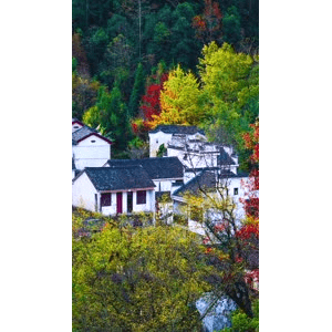 高清风景878