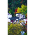 高清风景878