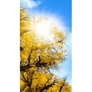 高清风景881