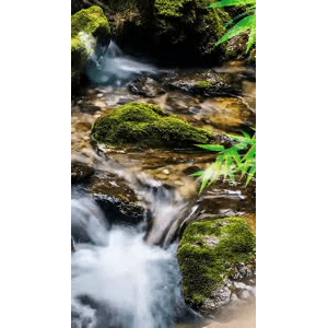 高清风景882