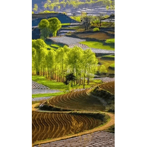 高清风景895