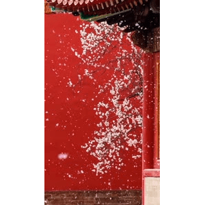高清风景897