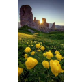 高清风景900