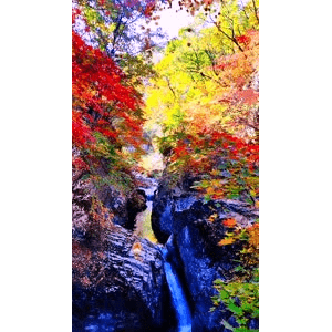 高清风景907