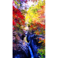 高清风景907