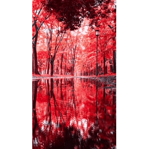 高清风景909