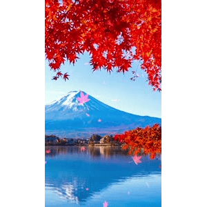 高清风景912