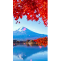 高清风景912