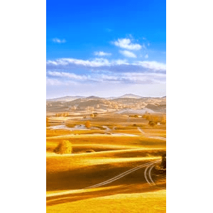 高清风景915