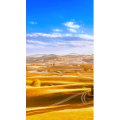高清风景915