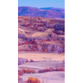高清风景918