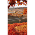 高清风景921