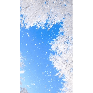 高清风景922