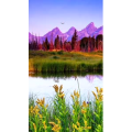 高清风景923