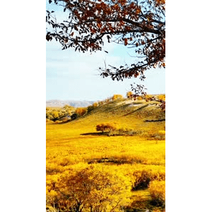 高清风景924