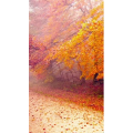 高清风景927