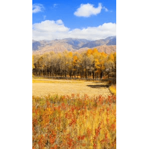 高清风景928