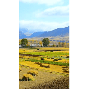 高清风景934