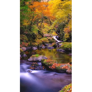 高清风景935
