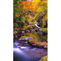 高清风景935