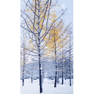 高清风景937