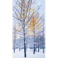 高清风景937