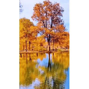 高清风景938