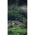 高清风景945