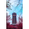 高清风景950