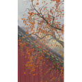 高清风景953
