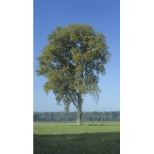 高清风景954