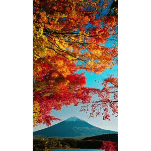 高清风景957