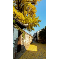 高清风景967