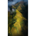 高清风景982