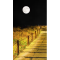 高清风景984