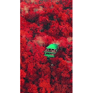 高清风景991