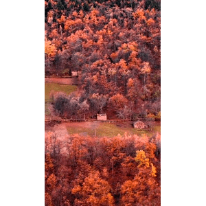 高清风景999