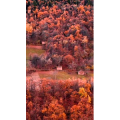 高清风景999