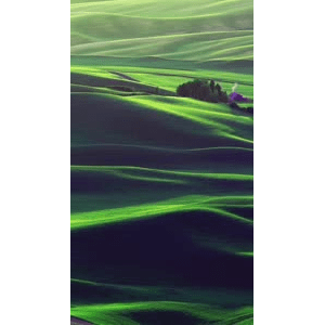 高清风景1002