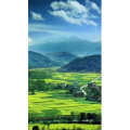 高清风景1006