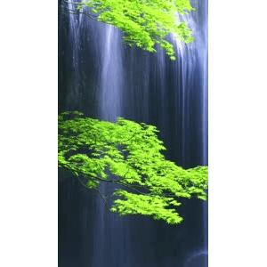 高清风景1010