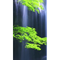 高清风景1010