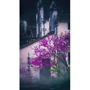 高清风景1025