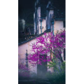 高清风景1025