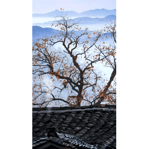 高清风景1030